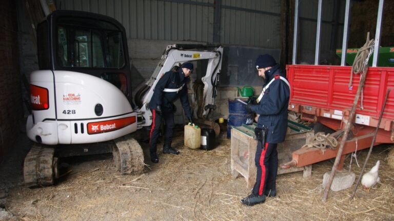 I nomi dei sei arrestati per furto in azienda agricola di Polizzi Generosa