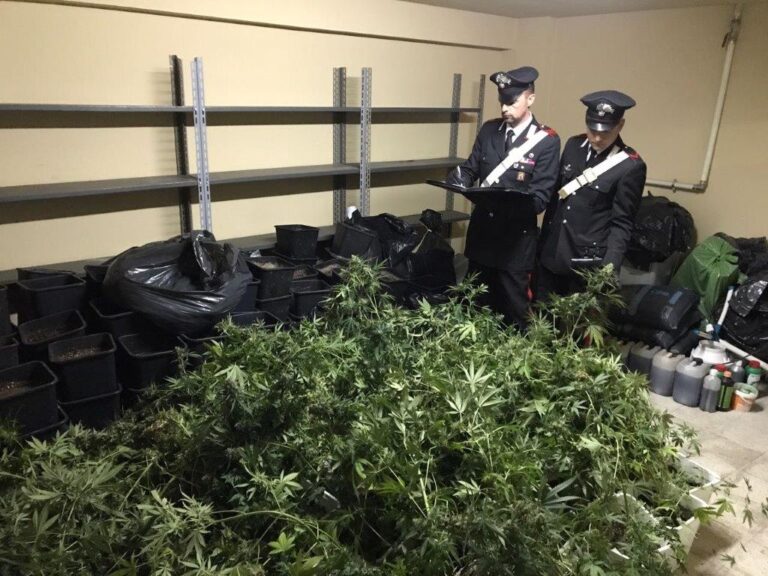 I Carabinieri scoprono una piantagione sotterranea di marijuana. Si cercano i proprietari