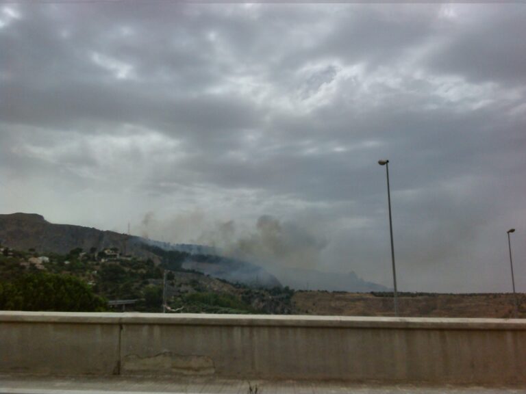 Vasto incendio tra Termini e Trabia