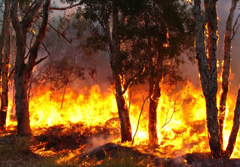 Autostrada A19 Palermo-Catania chiusa per incendio