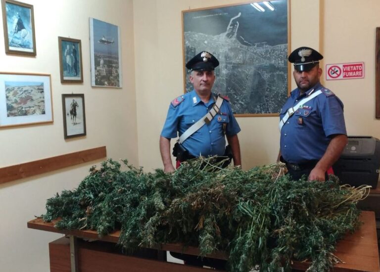 In un residence di Trabia i Carabinieri sequestrano una maxi piantagione di marijuana