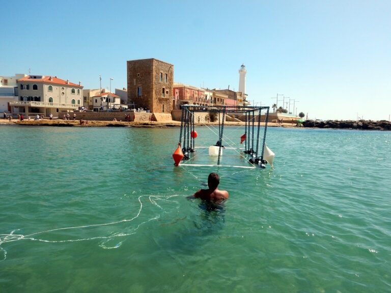 Archeologia subacquea. Si studia la nave bizantina nei fondali di Punta Secca a 200 metri della casa del commissario Montalbano