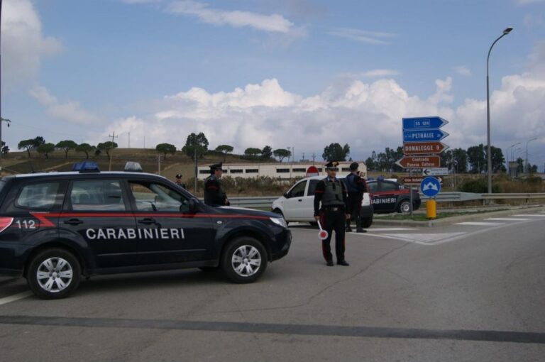 Controlli dei Carabinieri nei Comuni di Polizzi Generosa, Bompietro, Petralia Soprana e Blufi