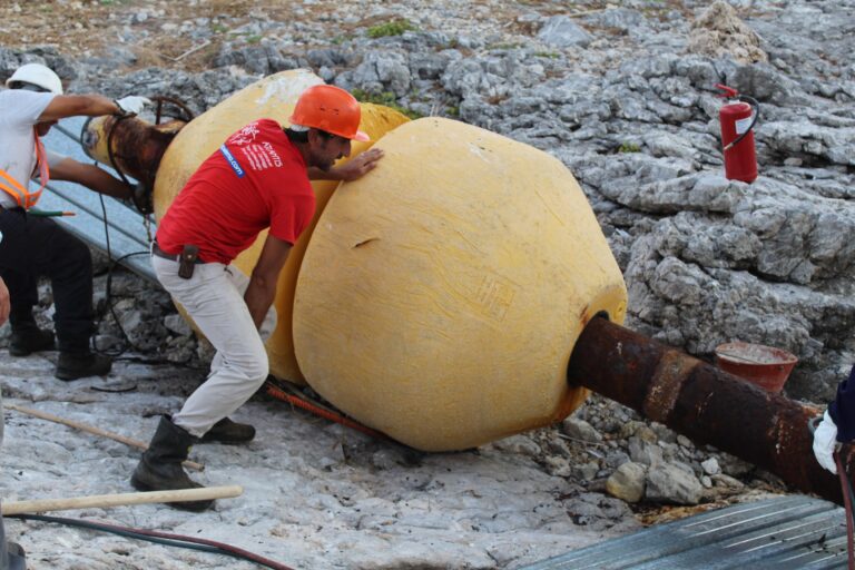 Rimossa la boa spiaggiata alcuni anni fa sulla costa di Isola delle Femmine