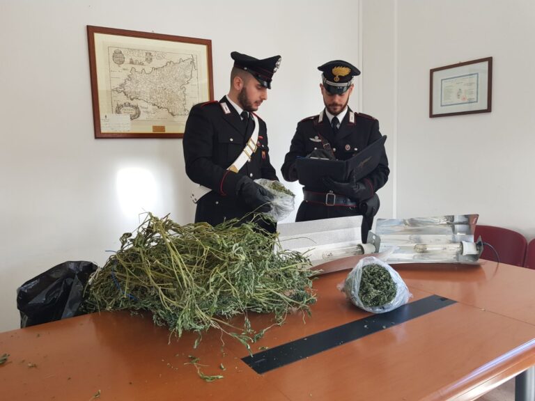 Sorpresi in casa con 25 piante di cannabis e 300 grammi di marijuana. I Carabinieri arrestano tre persone