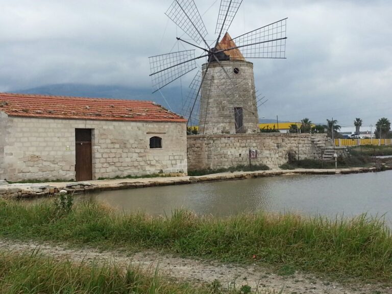 Escursione e Birdwatching del WWF alla Riserva Naturale Orientata “Saline di Trapani e Paceco”