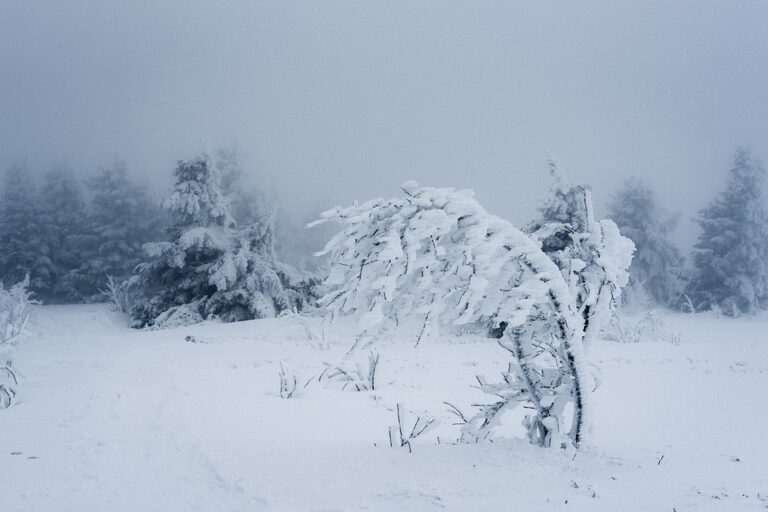 San Valentino 2021, vento e gelo con Burian e sulle Madonie ritorna la neve