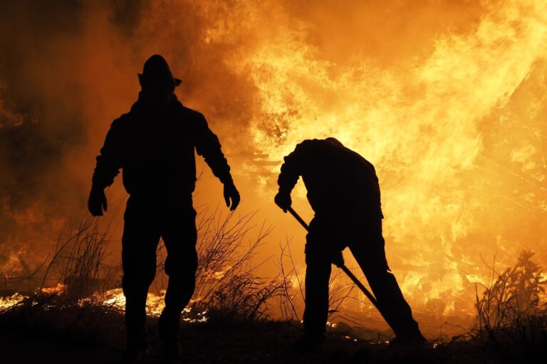 Incendi boschivi in Sicilia, Coordinamento Salviamo i Boschi: “necessita una riforma profonda della politica forestale”