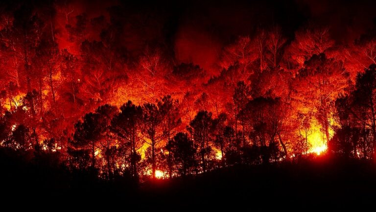 La campagna antincendio parte il 3 giugno, nuovo accordo Regione e Comuni: funzionerà ?