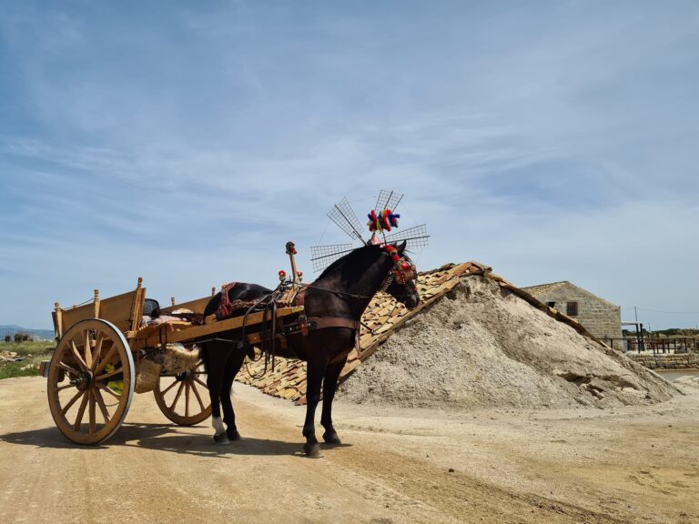 “Firrìa Sicilia”, il turismo riparte dal carretto siciliano con cultura e didattica