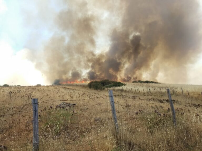 Domenica di fuoco in Sicilia: 34 incendi in diverse località, numerosi interventi dei reparti antincendio