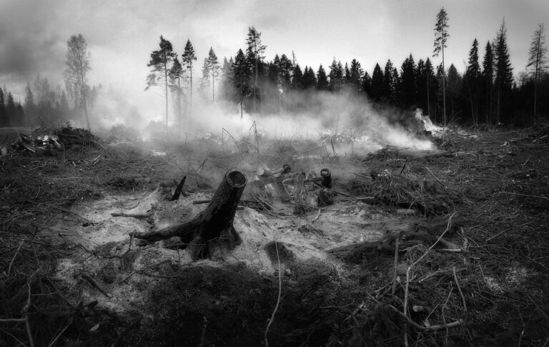 Incendi: tra gente senza scrupoli e patologici, una “dark story” tutta siciliana