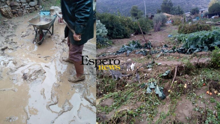 Sciara: dopo il maltempo il bilancio agricolo è una vera e propria tragedia, campi devastati e raccolto compromesso