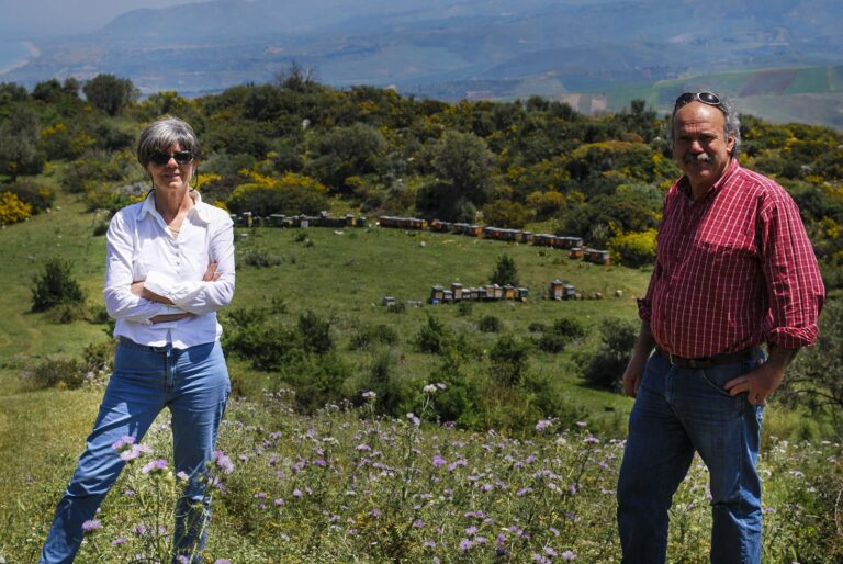 Premio nazionale “Tre Gocce d’Oro” 2022 per il miele millefiori del termitano Paolo Di Miceli, tra i migliori d’Italia