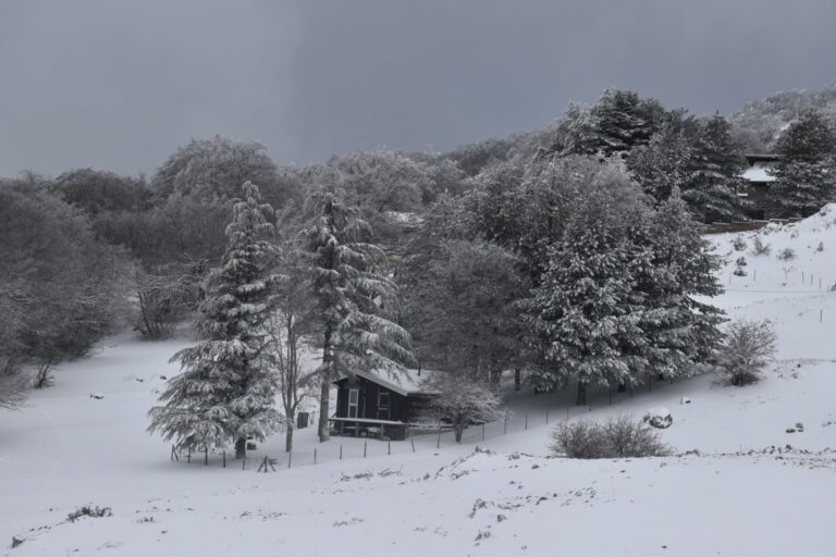 Neve e ghiaccio sulle Madonie: accorgimenti e informazioni per raggiungere Piano Battaglia