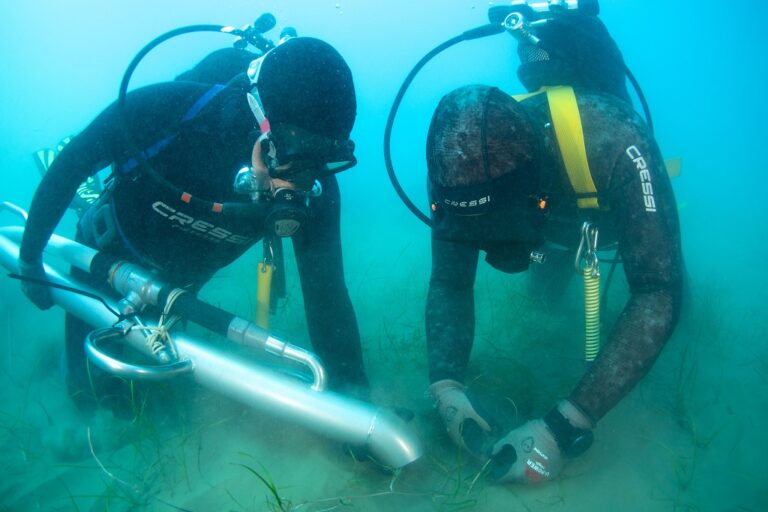 Termini Imerese, Terna compensa con pianta acquatica la realizzazione dell’elettrodotto