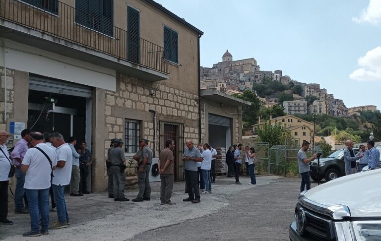 Madonie, inaugurato a Petralia Sottana il primo centro raccolta ungulati selvatici della Sicilia