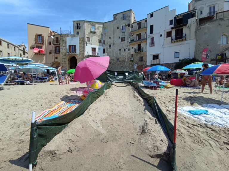 Cefalù: giunta ad una fase cruciale la lunga strada delle tartarughe del mistero