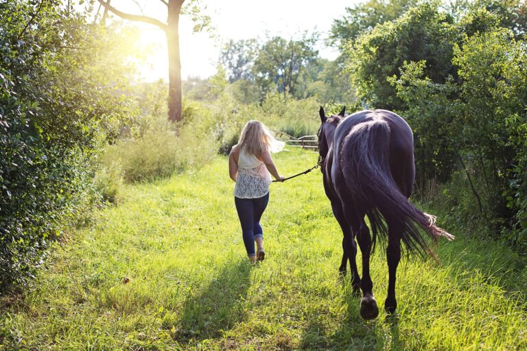 Nel cuore delle Madonie una nuova realtà associativa imperniata sulle tradizioni equestri locali