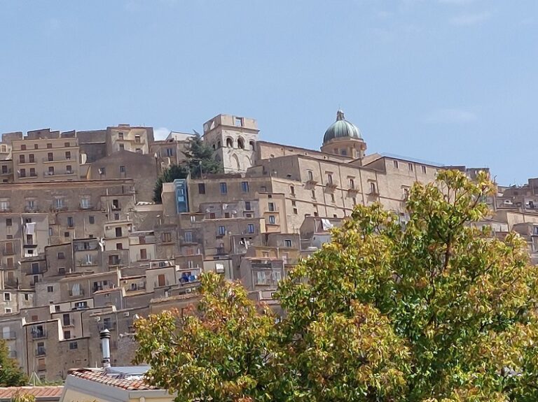 Gangi, finanziato cantiere per 15 disoccupati e salvaguardia albero monumentale