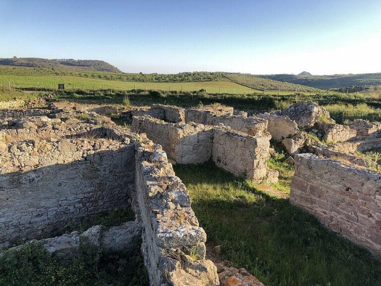 Termini Imerese, visita a Sofiana e Mazzarino nell’ambito del Corso di Archeologia promosso da BCsicilia